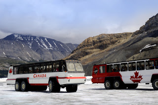 foto dos ônibus que fazem a visitação para as geleiras no caminho de Jasper a Banff