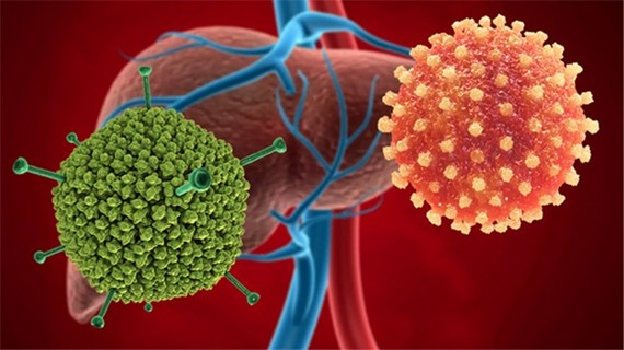 'Viêm gan bí ẩn' có thể do chính Adenovirus gây nên, liệu có nguy cơ bùng phát thành dịch?