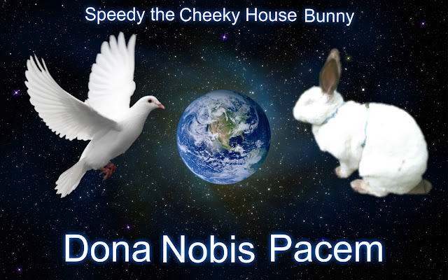 http://www.speedyhousebunny.com/2015/11/dona-nobis-pacemblog-4-peace.html