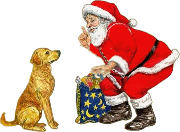 papa noel cosasparanavidad (7)