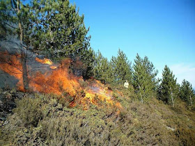 उत्तराखंड के जंगलो की आग अब गांवों तक पहुंची