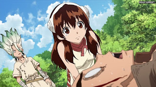 ドクターストーンアニメ 1期3話 小川杠 Ogawa Yuzuriha CV.市ノ瀬加那 Dr. STONE Episode 3