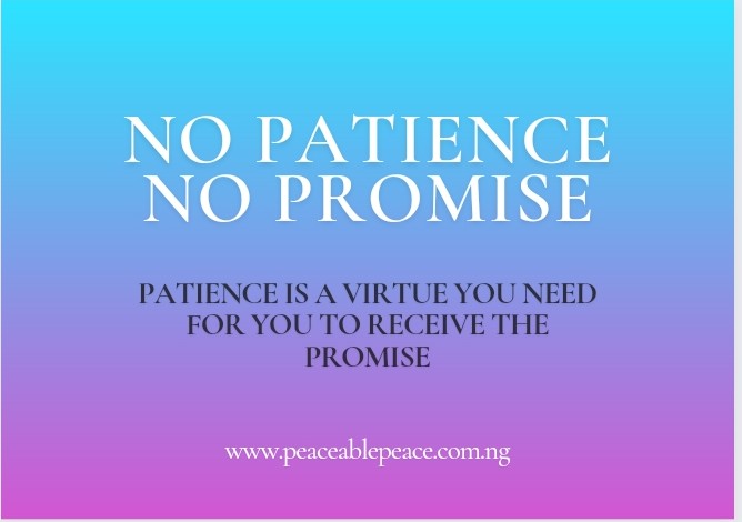 No Patience No Promise