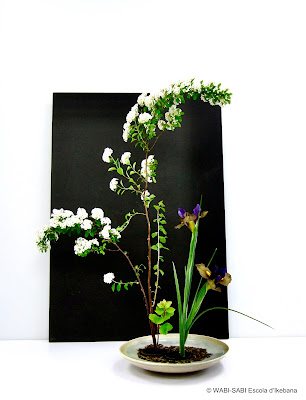 Ikebana-shoka-shofutai-wabisabi-escoladikebana