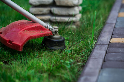 Make Your Madison Lawn Care Easy with Professional Lawn Care Services title=