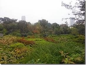 clip_image028[4]
