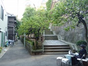 P1040398