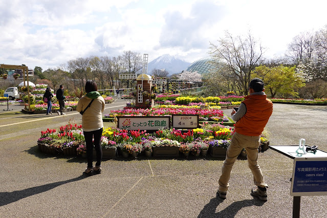 とっとり花回廊　エントランス