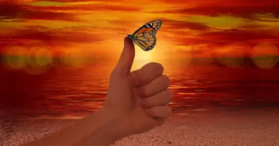 Top 10 Steps to Follow to See the Way Things Are and Open Your Mind