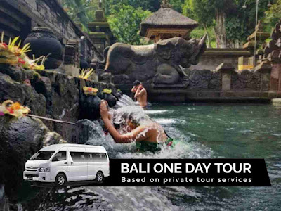 bali-private-small-group-tour-for-14-pax