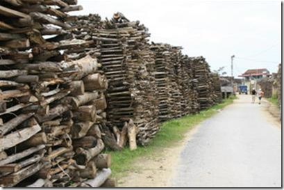 ImageView_012