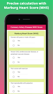 Precise calculation with Marburg Heart Score (MHS)