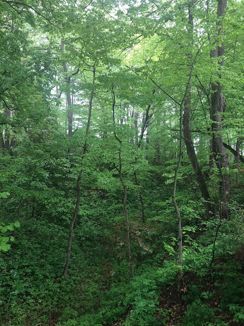 Ravines add an extra level of interest hiking at Warnimont Park.