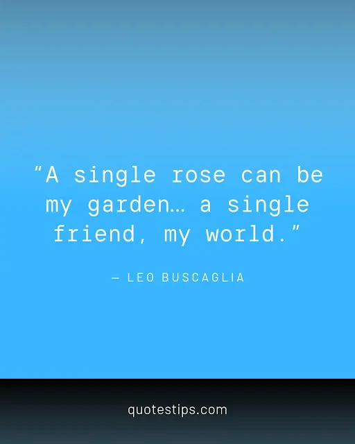Quote about a friend being like a rose by Leo Buscaglia – QuotesTips.com