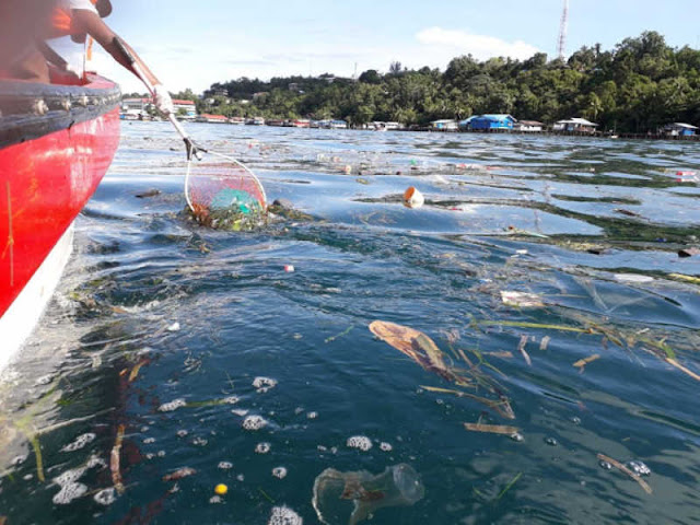 Alumni Smunda Angkat 70 Kantong Sampah Dari Teluk Humbold