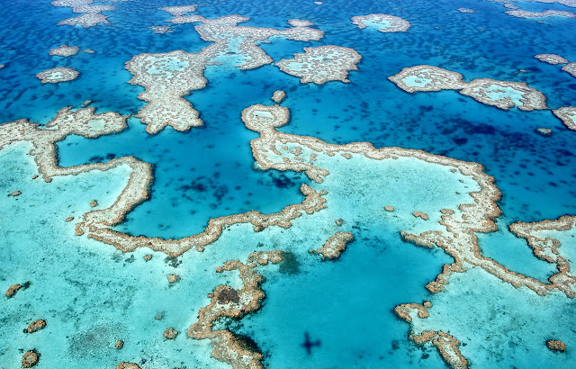 The Great Barrier Reef, seen from a scenic flight near Airlie beach, Queensland