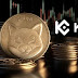 ShibaSwap and Tokenomics: Navigating the Decentralized Finance Ecosystem