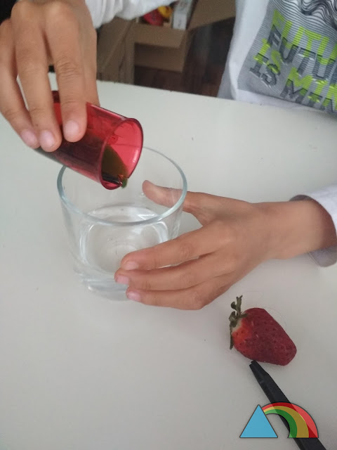 Niño añadiendo jabón lavavajillas a un vaso con agua. Pinas y fresa sobre la mesa