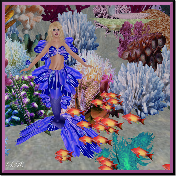 MerElf3_001b