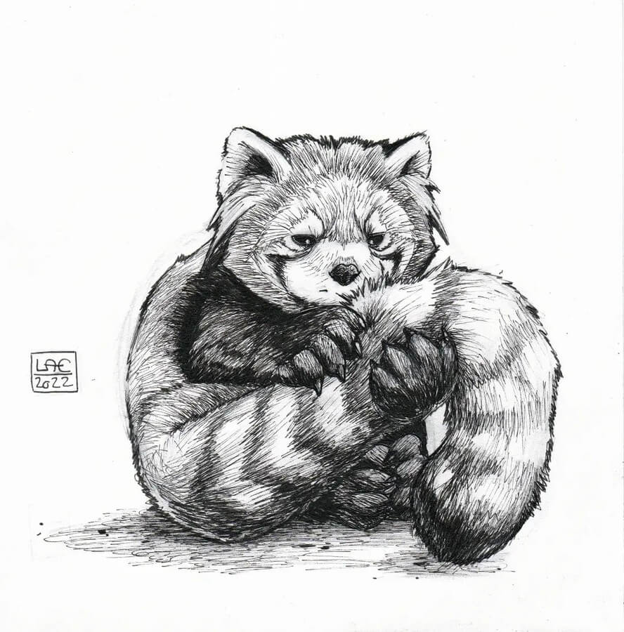07-Furry-red-panda-Ink-Drawings-Læ-Moizeau-www-designstack-co