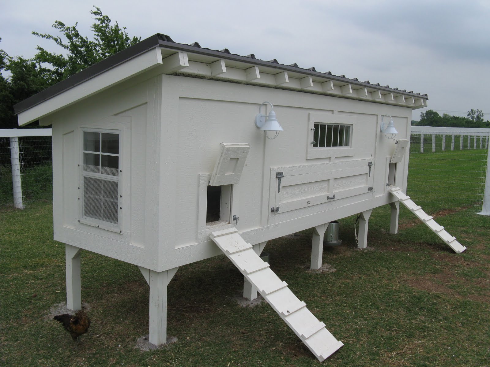 Life in a Little Red Farmhouse: Pemberley Chicken Coop