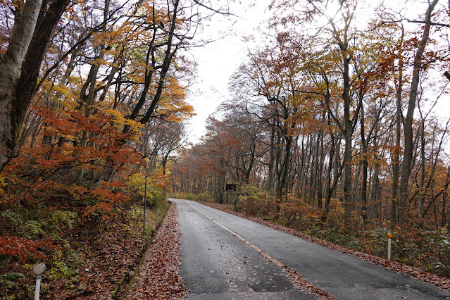 鳥取県道45号倉吉江府溝口線（大山環状道路）