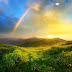 Homeward I'm Bound | Poem by Celia Elliott