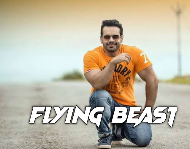 Flying beast