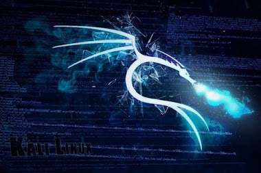  Kali Linux Vs Parrot Os - Which suits you best?