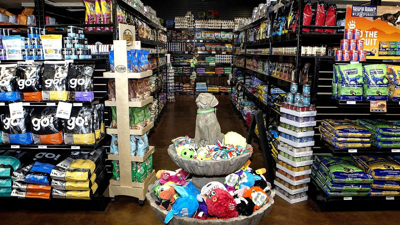 Pensacola Pets For Sale