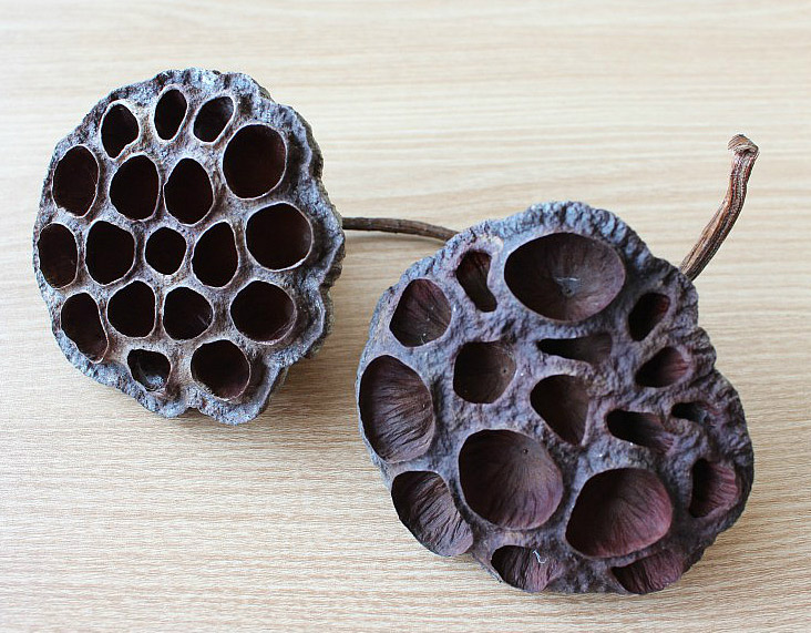 Pincushion of Lotus Seed Head. Игольница