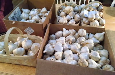 garlic bulbs