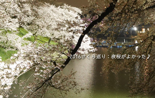 千鳥ヶ淵緑道の夜ざくら