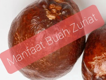 Buah Zuriat