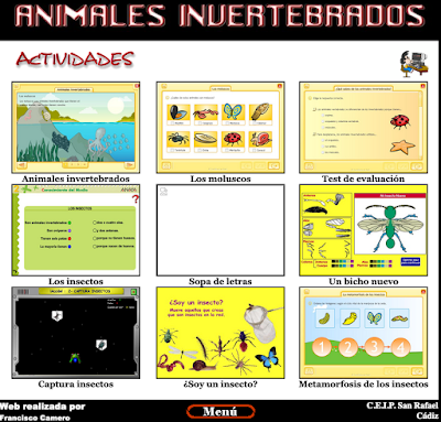 http://www.ceiploreto.es/sugerencias/averroes/ceip_san_rafael/INVERTEBRADOS/actividades.htm