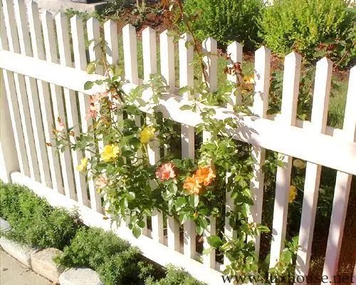 What type of fence you choose?