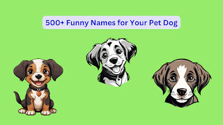 funny-names-for-pet-dogs
