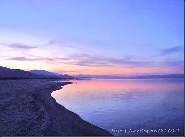 Salton Sea Calendar 2010