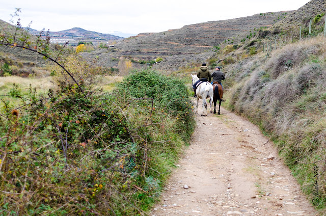 Chorrón de San Marcos. Nalda (La Rioja)