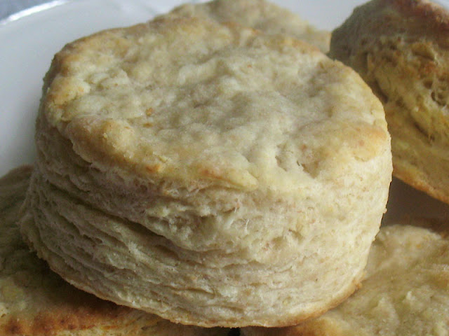 goat cheese biscuit