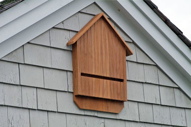 Pack Woodworking: Bat Houses