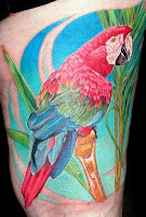 animal-tattoo-7