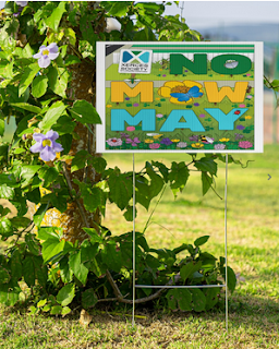 No Mow May yard sign