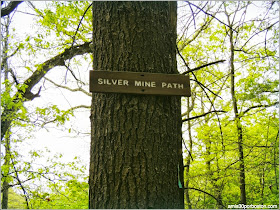 Middlesex Fells Reservation: Silver Mine Path