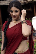 Richa Gangopadhyay Latest Hot Navel Show Stills in Saree