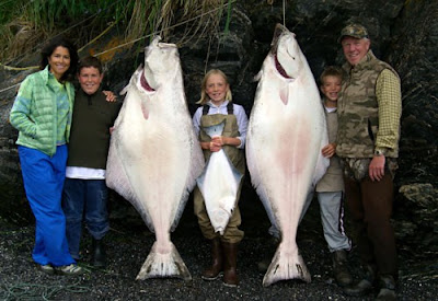 alaska halibut monster fish