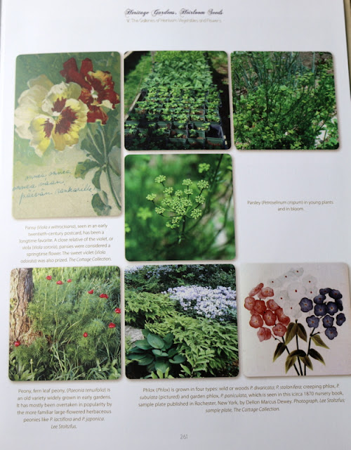 Heritage Gardens Heirloom Seeds