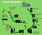 Clico Del Cacao