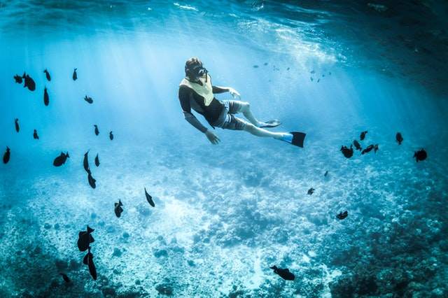 サンゴ礁の海でダイビングを楽しむ人物、周りに泳ぐ熱帯魚