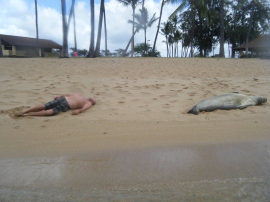 passed out on the beach